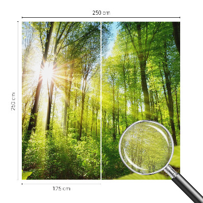 Papel de parede decorativo Luz da floresta