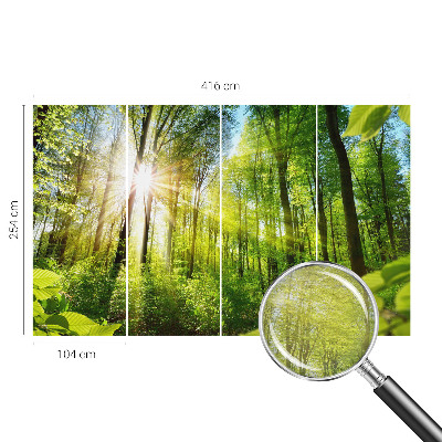 Papel de parede decorativo Luz da floresta