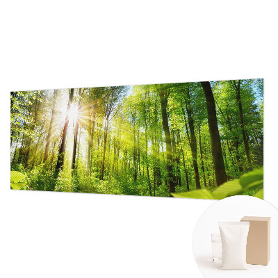 Papel de parede decorativo Luz da floresta