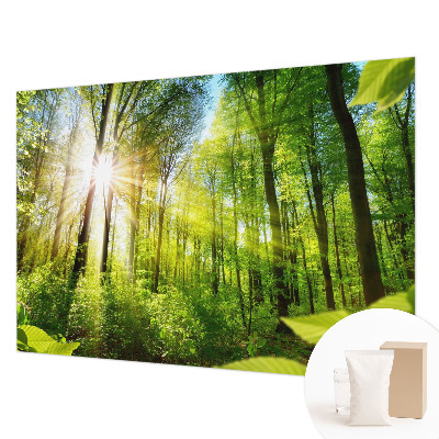 Papel de parede decorativo Luz da floresta