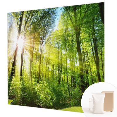 Papel de parede decorativo Luz da floresta