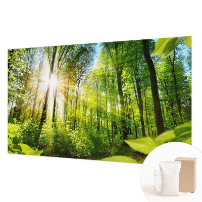 Papel de parede decorativo Luz da floresta
