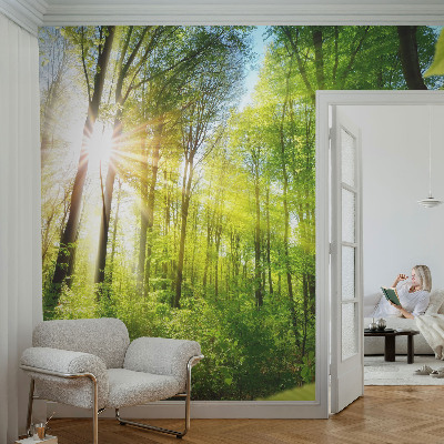 Papel de parede decorativo Luz da floresta