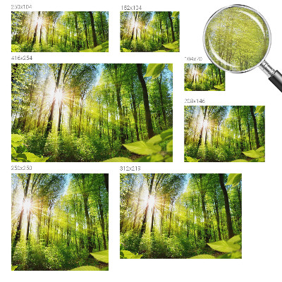 Papel de parede decorativo Luz da floresta