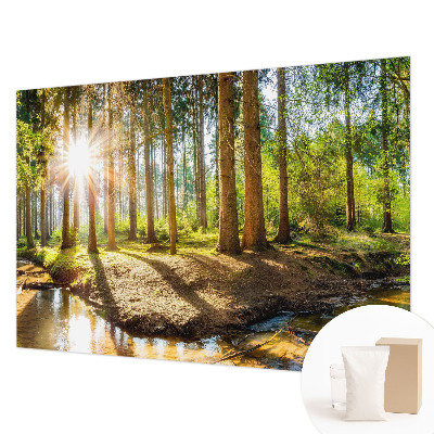 Papel de parede Idílio na floresta