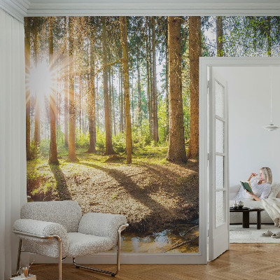 Papel de parede Idílio na floresta