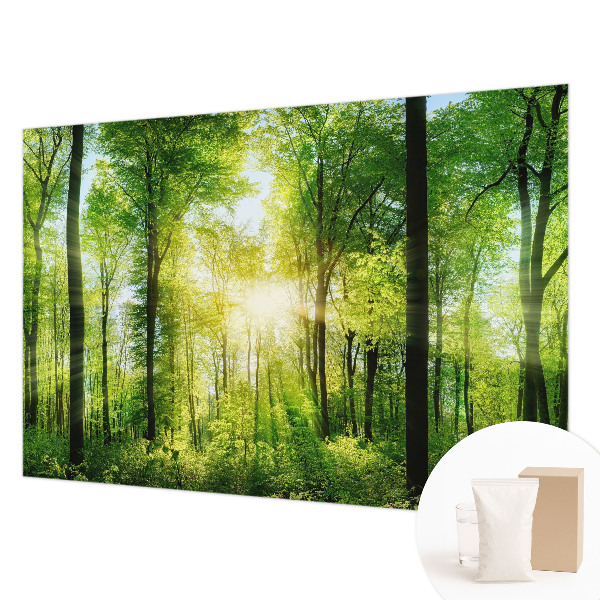 Fotomural Harmonia da floresta