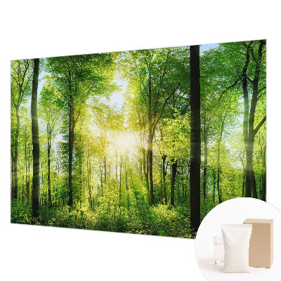Fotomural Harmonia da floresta