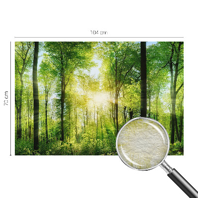 Fotomural Harmonia da floresta