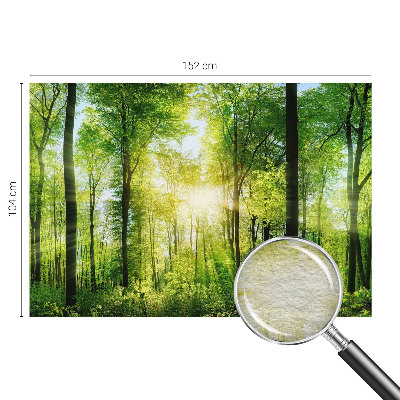 Fotomural Harmonia da floresta