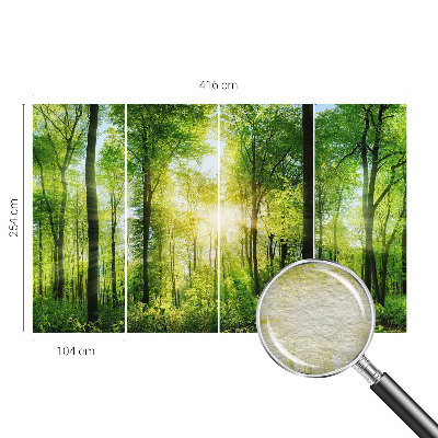 Fotomural Harmonia da floresta