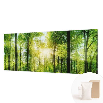 Fotomural Harmonia da floresta