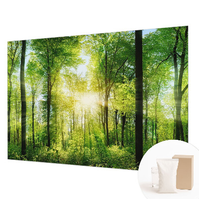 Fotomural Harmonia da floresta