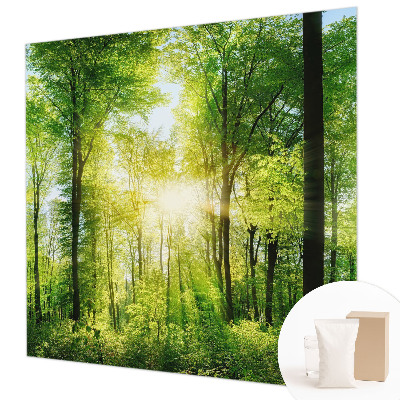 Fotomural Harmonia da floresta