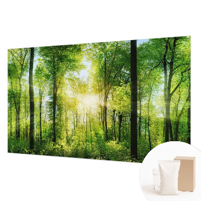 Fotomural Harmonia da floresta