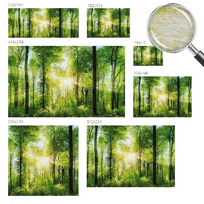 Fotomural Harmonia da floresta