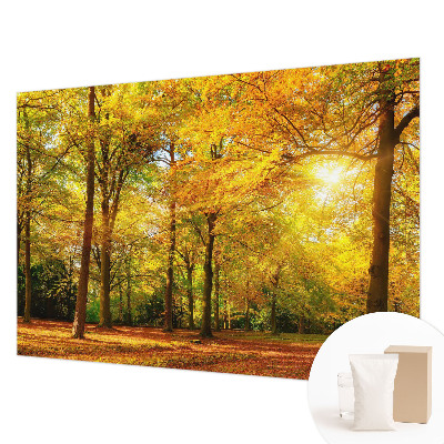 Papel de parede para sala Folhas douradas