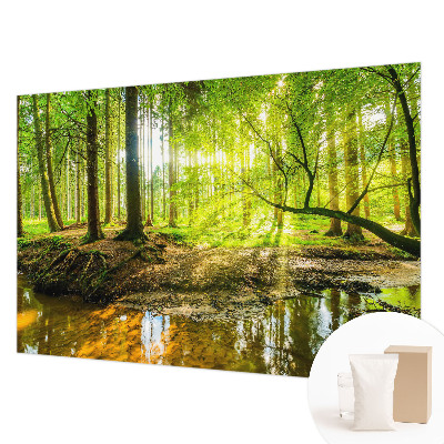 Papel de parede decorativo Paisagem verde