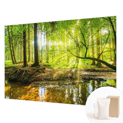 Papel de parede decorativo Paisagem verde