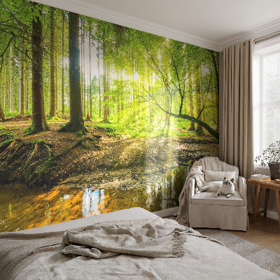 Papel de parede decorativo Paisagem verde