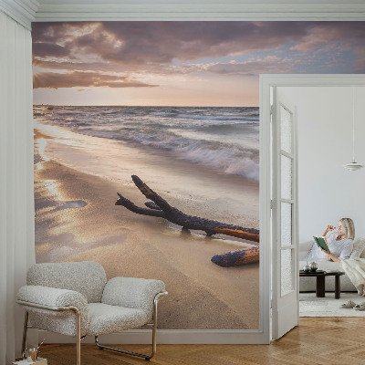 Papel de parede Praia Oeste