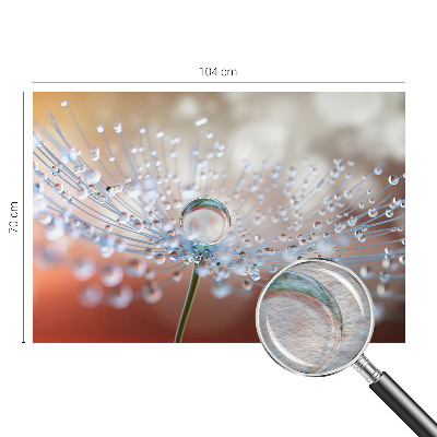 Mural de parede Uma gota num dente-de-leão