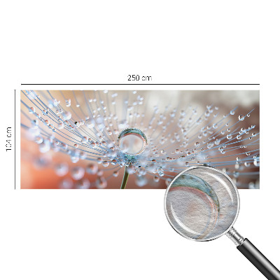 Mural de parede Uma gota num dente-de-leão