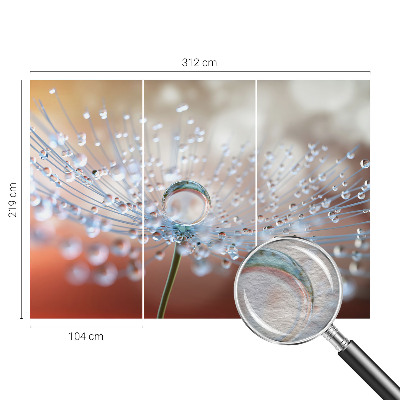 Mural de parede Uma gota num dente-de-leão