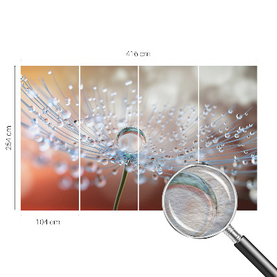 Mural de parede Uma gota num dente-de-leão