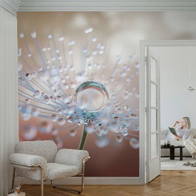 Mural de parede Uma gota num dente-de-leão