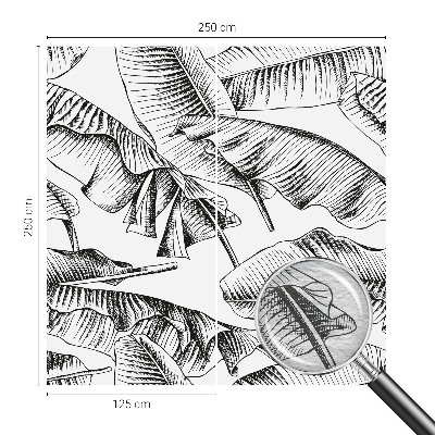 Mural de parede Folhas de bananeira