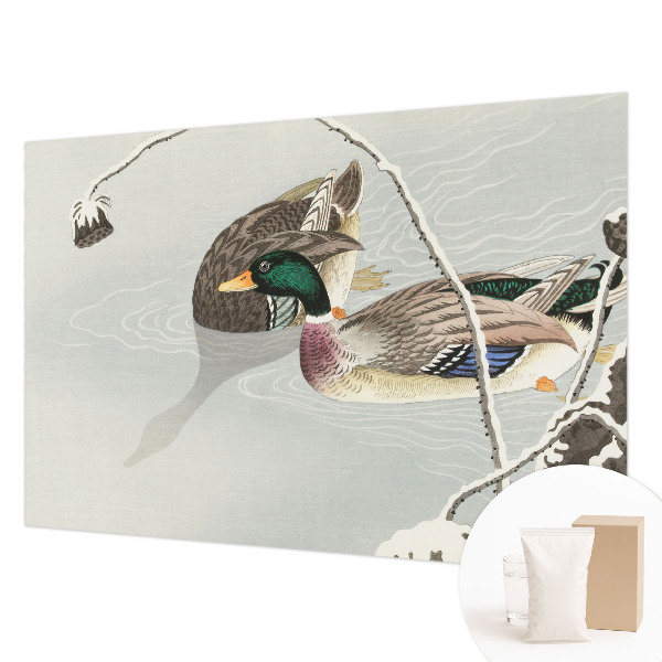 Papel de parede para quarto Patos calmos