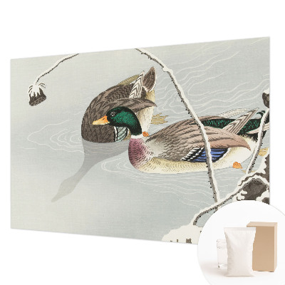 Papel de parede para quarto Patos calmos