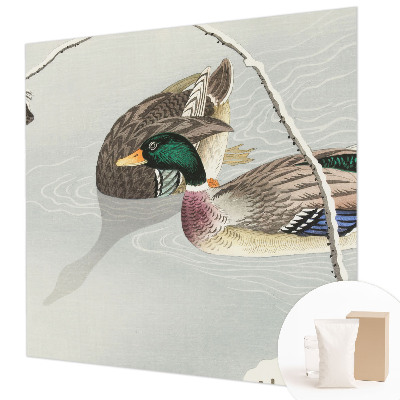 Papel de parede para quarto Patos calmos