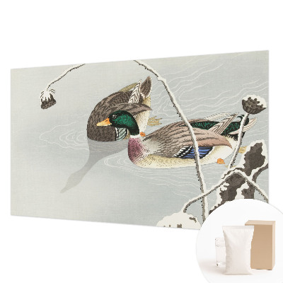 Papel de parede para quarto Patos calmos