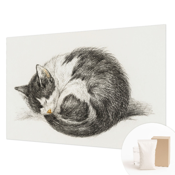 Mural de fotos na parede Gatinho adorável