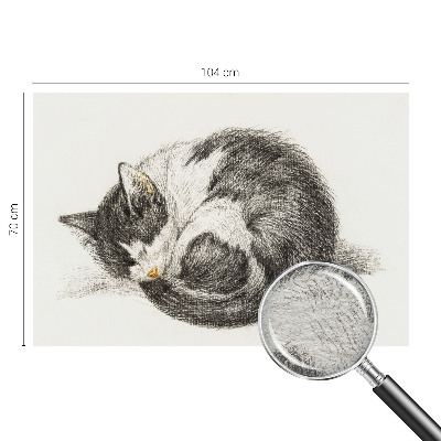 Mural de fotos na parede Gatinho adorável