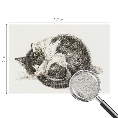 Mural de fotos na parede Gatinho adorável