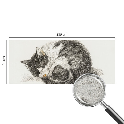 Mural de fotos na parede Gatinho adorável