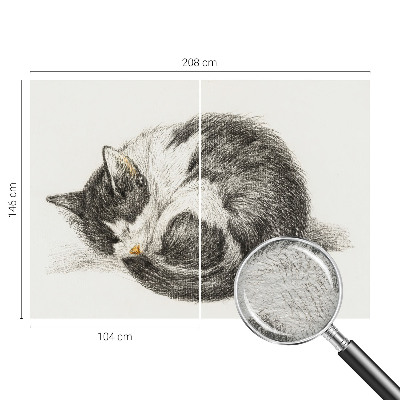 Mural de fotos na parede Gatinho adorável