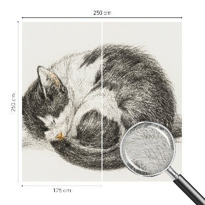 Mural de fotos na parede Gatinho adorável