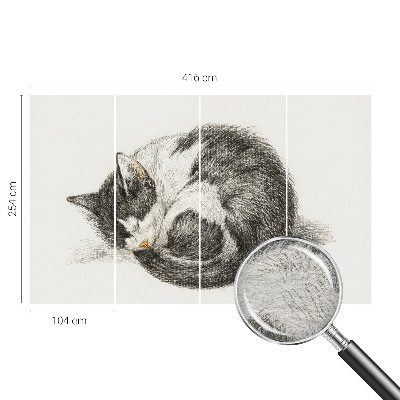 Mural de fotos na parede Gatinho adorável