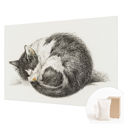 Mural de fotos na parede Gatinho adorável