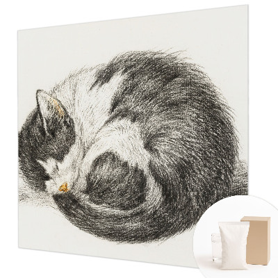 Mural de fotos na parede Gatinho adorável