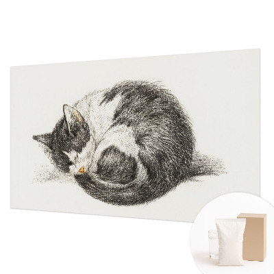 Mural de fotos na parede Gatinho adorável