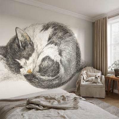 Mural de fotos na parede Gatinho adorável