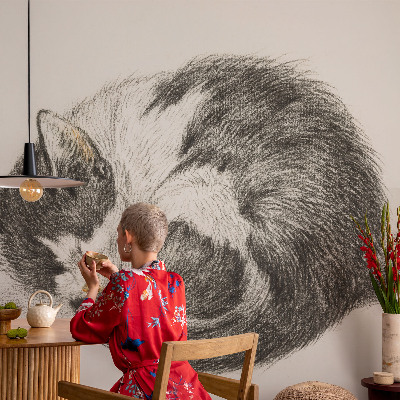Mural de fotos na parede Gatinho adorável