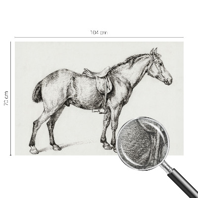 Fotomural Esboço de um cavalo