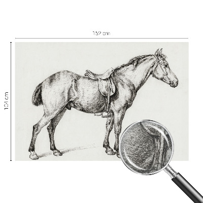 Fotomural Esboço de um cavalo
