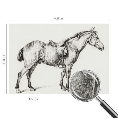 Fotomural Esboço de um cavalo